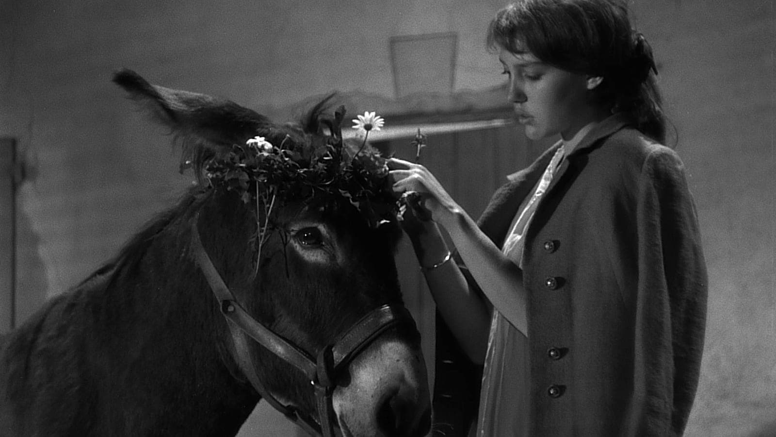 Gesehen: Au Hasard Balthazar (1966)