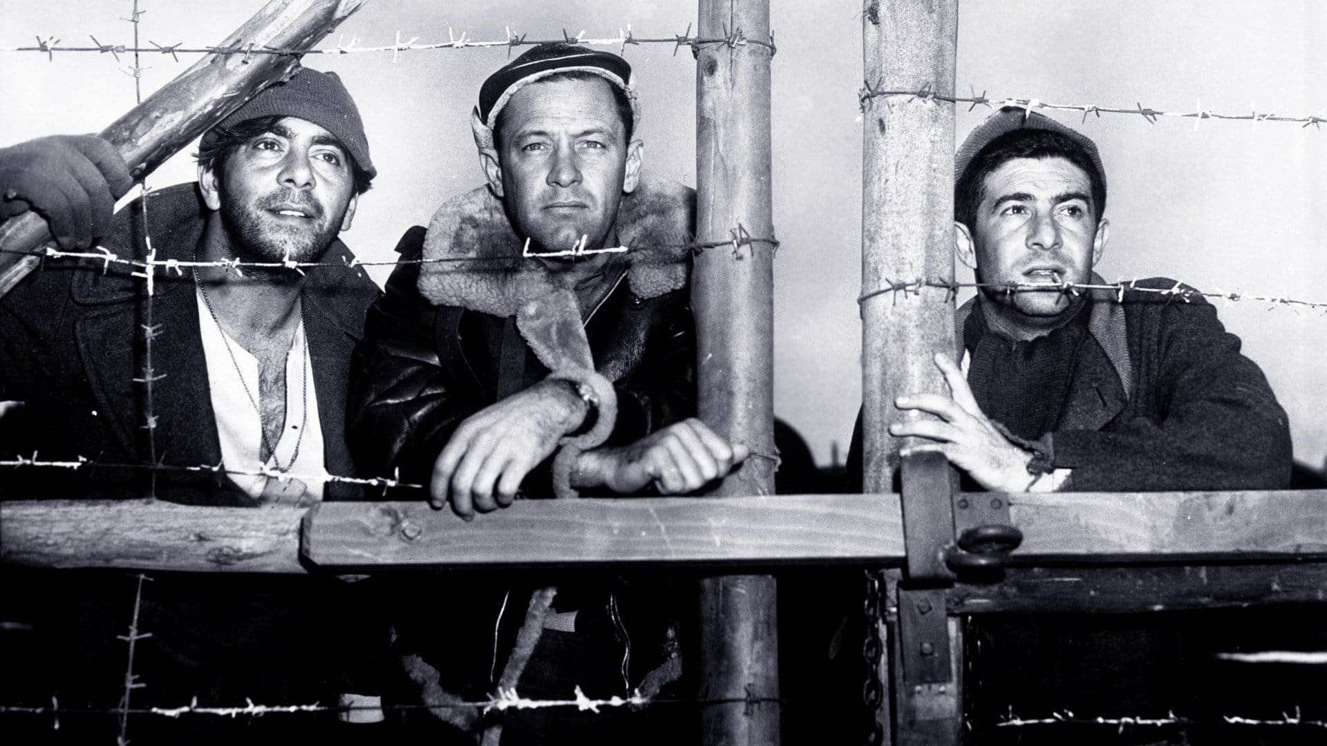 Gesehen: Stalag 17 (1953)