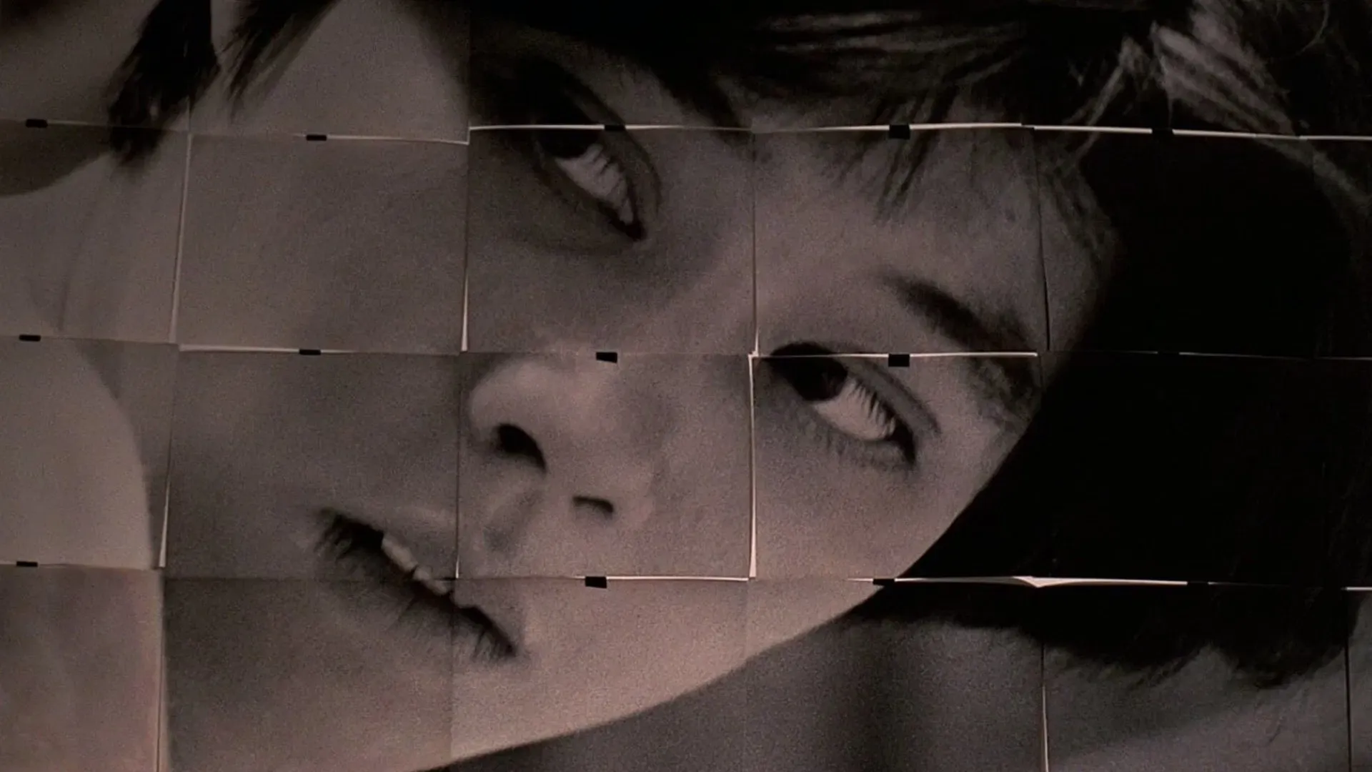 Gesehen: Terrorizers (1986) - Ein Hauch von Trier