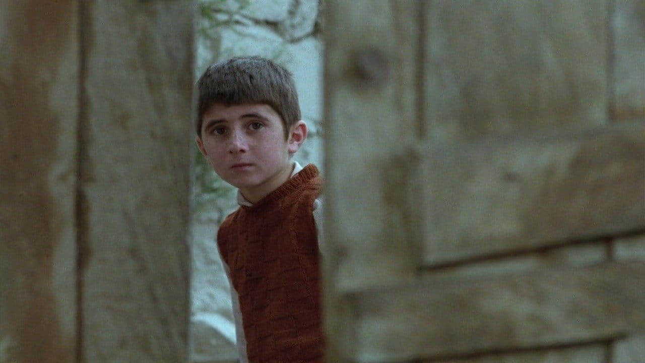 Gesehen: Where Is the Friend’s House? (1987) - Urängstliche Gefühle