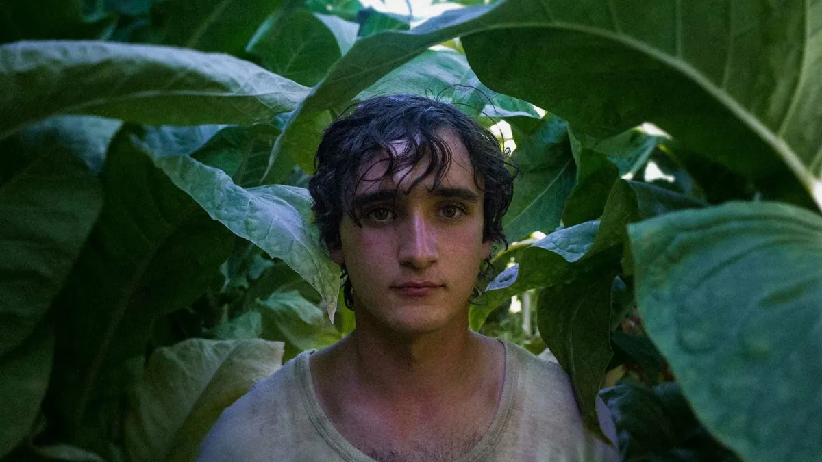 Gesehen: Happy as Lazzaro (2018) - Grimm und Hoffnung