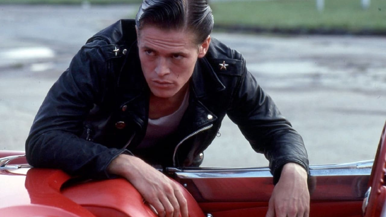 Gesehen: The Loveless (1981)