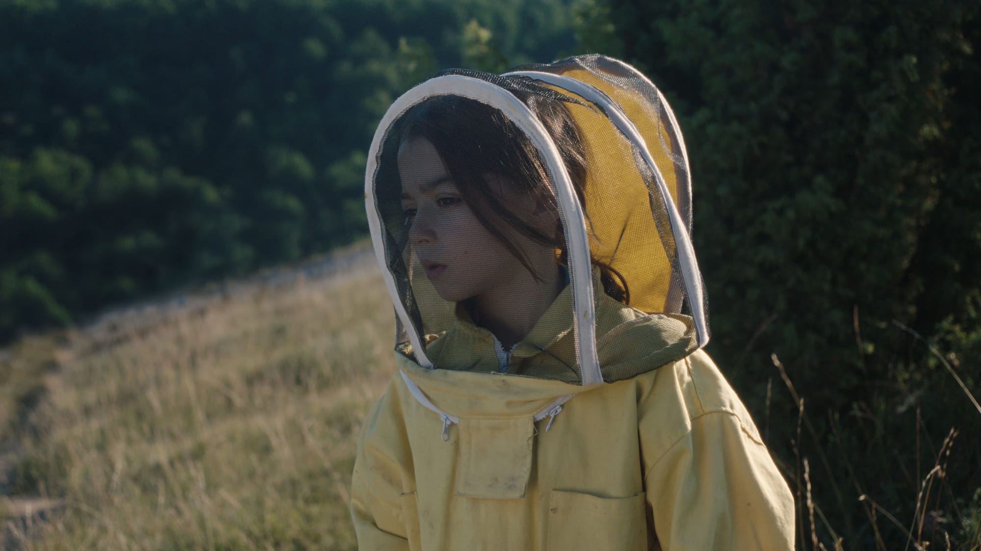 Gesehen: 20.000 especies de abejas (2023)