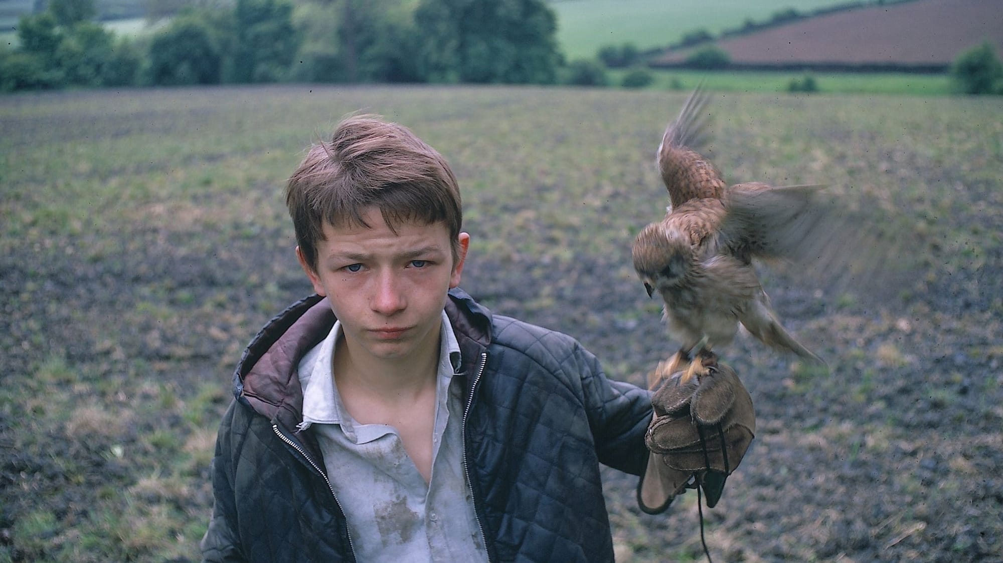 Gesehen: Kes (1969)