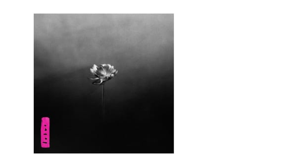 Wie gut ist bitte Little Simz' „Lotus"?!