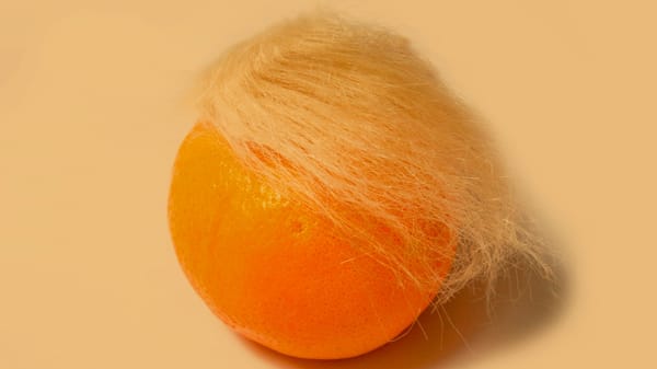 Kaliforniens Gouverneur Gavin Newsom ist nicht der smarte Troll, der er glaubt zu sein