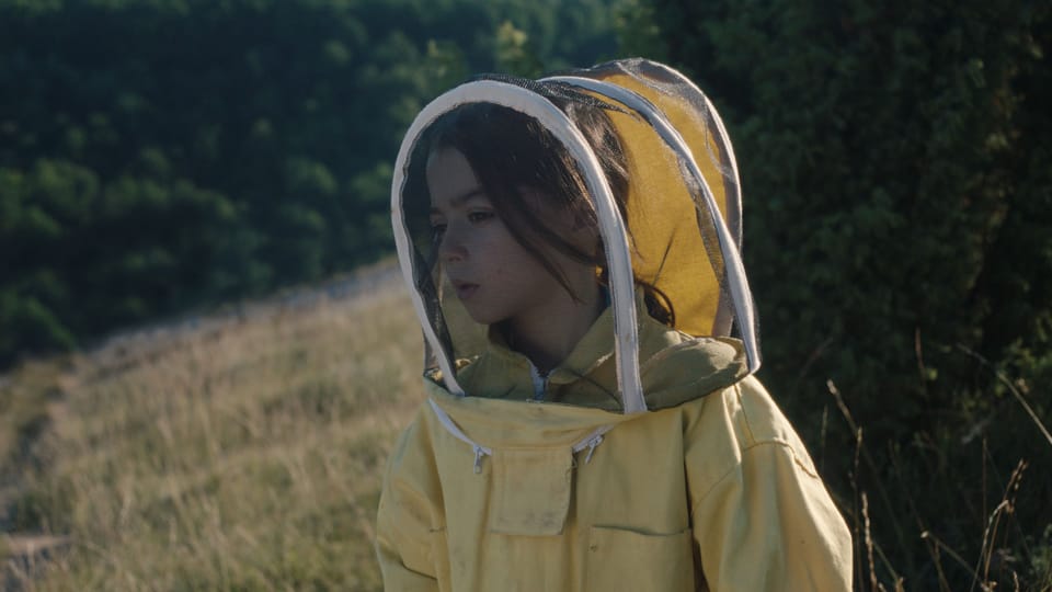 Gesehen: 20.000 especies de abejas (2023)