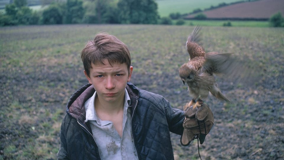 Gesehen: Kes (1969)